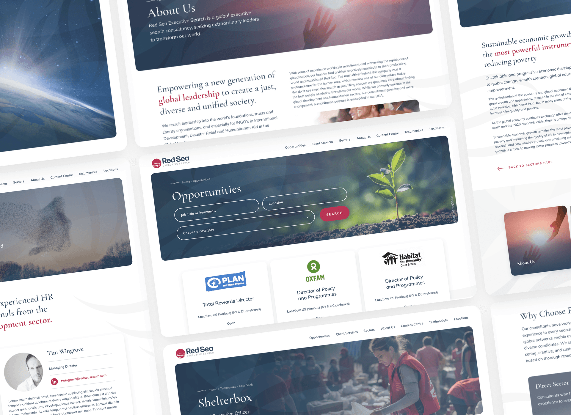 Red Sea website design