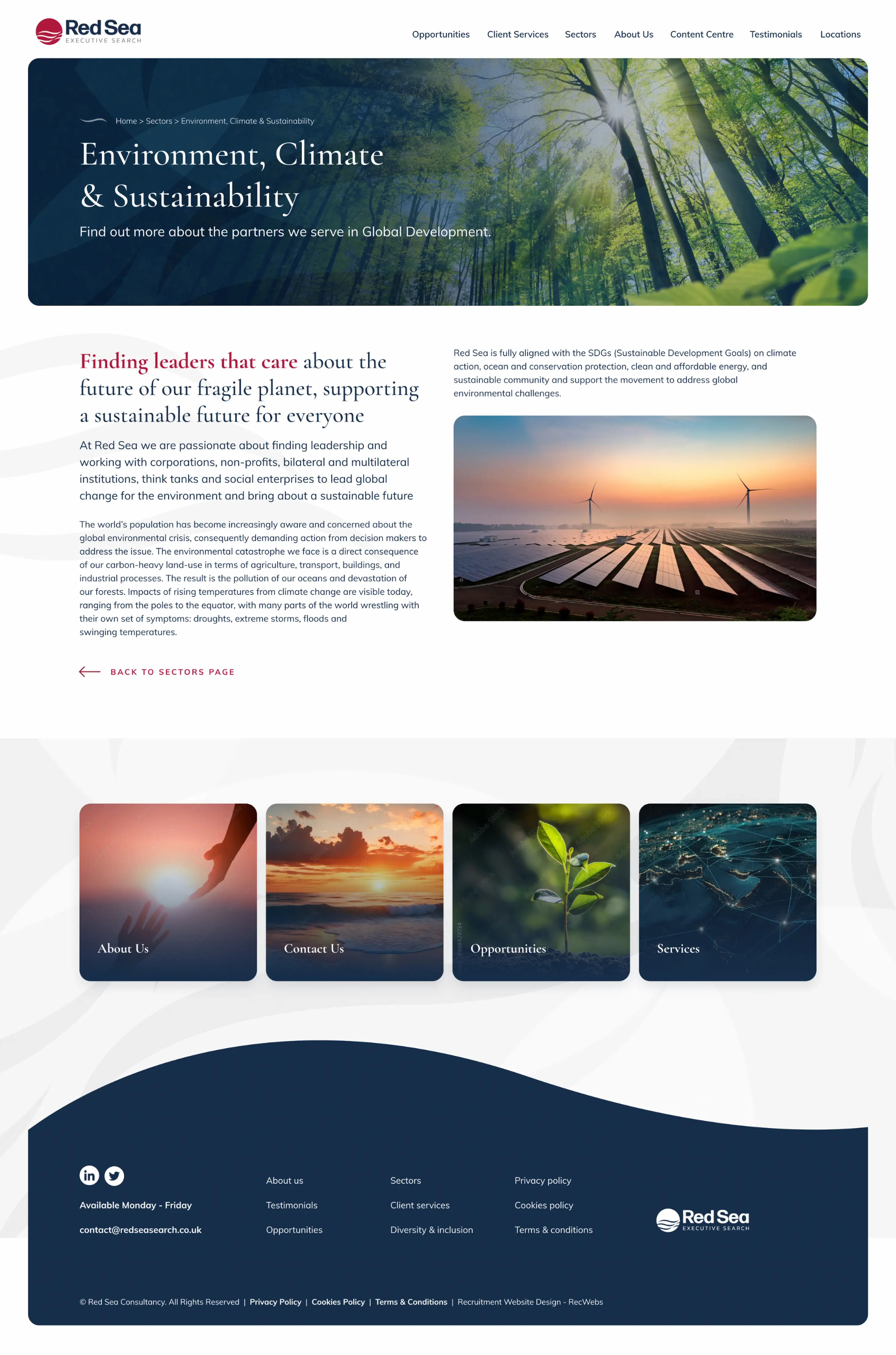 Red Sea About Us page design